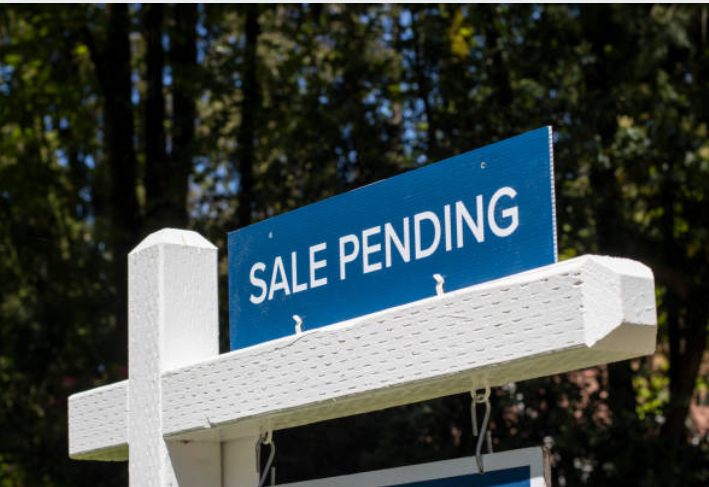 Navigating the Flourishing Real Estate Market in North Carolina: Insights from Expert Alisha DeBerry, a Dynamic Real Estate Educator